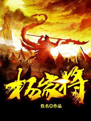 杨家将演义全攻略